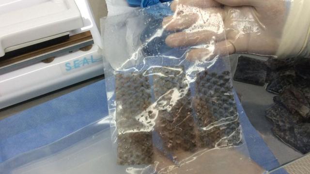 A pelecodigo de bonus f12 bettilápia liofilizada não precisacodigo de bonus f12 betrefrigeração e tem validade superior a dois anos