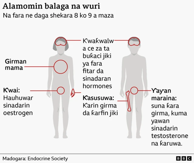 Balaga