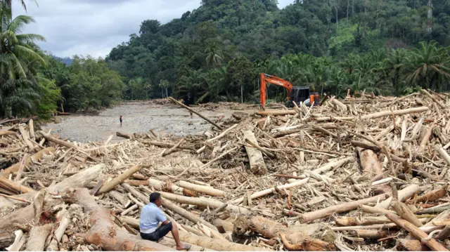 Sampah kayu gelondongan tersebut menumpuk di pemukiman warga dan sungai pasca banjir bandang pada Selasa (25/11).