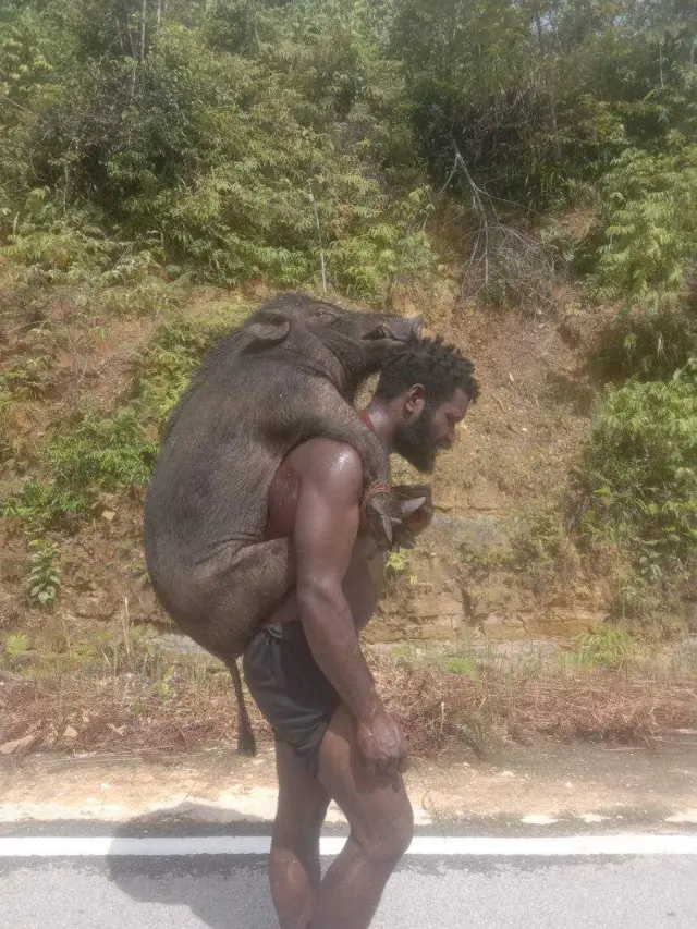 papua, perempuan, pangan