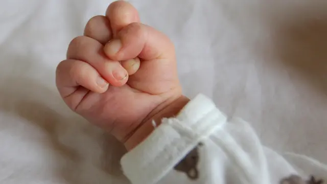 የጨቅላ ሕጻን መዳፍ