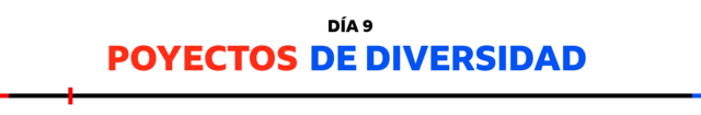 Una línea en dos colores que dice "Proyectos de Diversidad".