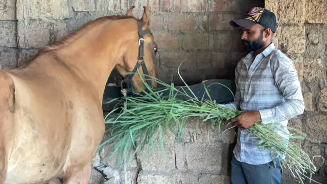 દલિત, પોલીસ રક્ષણ, ઍટ્રોસિટી, ઉના, જૂનાગઢ, ગુજરાત, સુરેન્દ્રનગર, બીબીસી ગુજરાતી, ગુજરાતના સમાચાર
