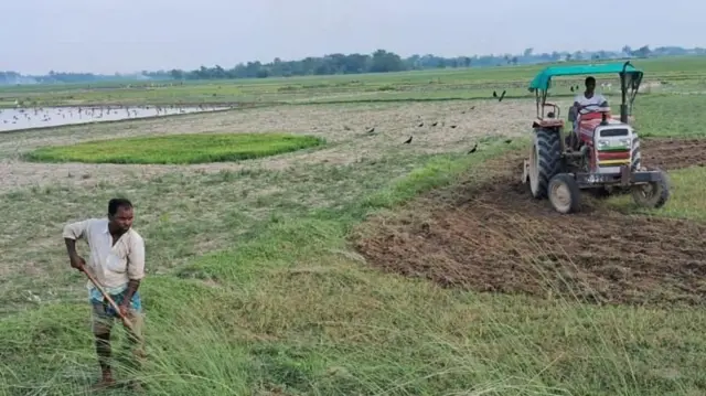 कृषिको मुद्दा सबैजसो मधेश केन्द्रित दलले उठाएका छन्