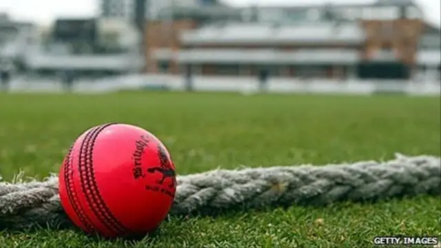 క్రికెట్