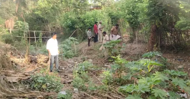 கடற்கரை மாவட்டமான மயிலாடுதுறைக்கு சிறுத்தை வந்தது எப்படி? சிறுத்தை எங்கே?