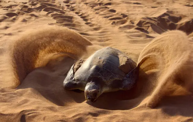 వరల్డ్ ఫొటోగ్రఫీ డే 