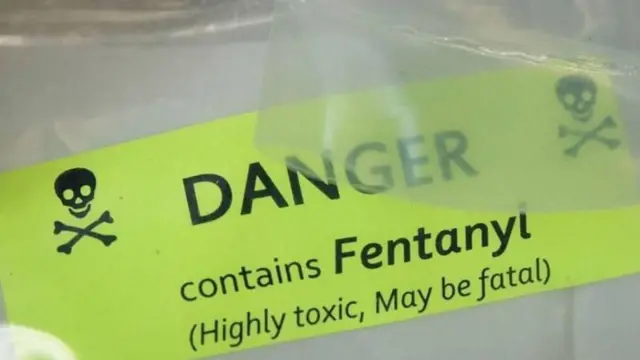 सिंथेटिक ओपियोइड्स