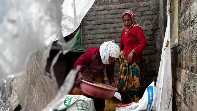 सविता माळोदे