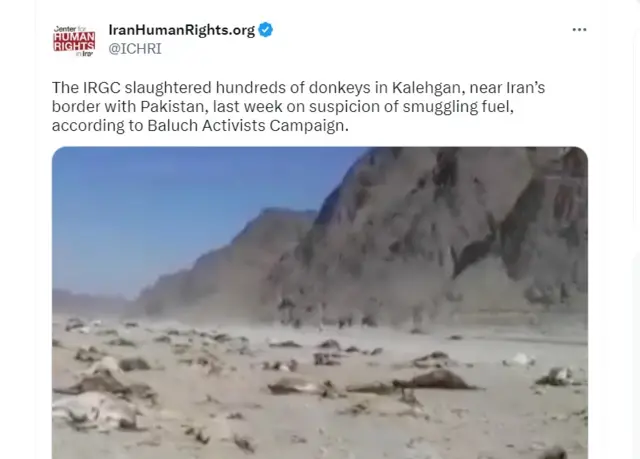 گدھے