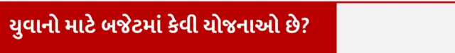 બીબીસી ગુજરાતી, ગુજરાત બજેટ 2025, કનુ દેસાઈ, ગુજરાત વિધાનસભા, રાજ્ય સરકાર મહિલા, ખેડૂત, યુવાનો, ગુજરાત સરકારની યોજનાઓ
