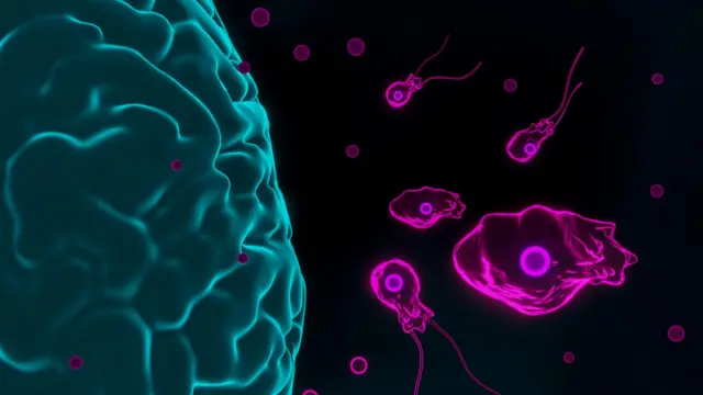 ఆరోగ్యం