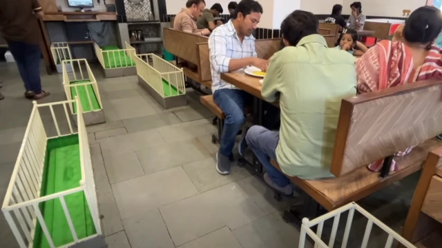 લકી રેસ્ટોરાં, અમદાવાદ, કબર, ચા 