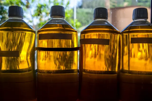 Ilustrasi botol-botol berisi biodiesel.