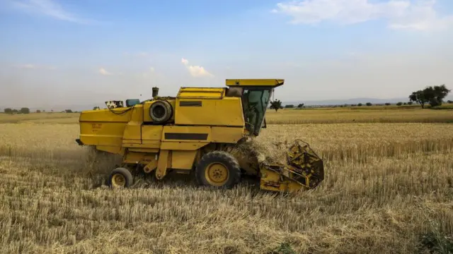 ਸੰਕੇਤਕ ਤਸਵੀਰ