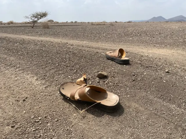 Kophee gammoojjii Geherreetti geessurra agarre