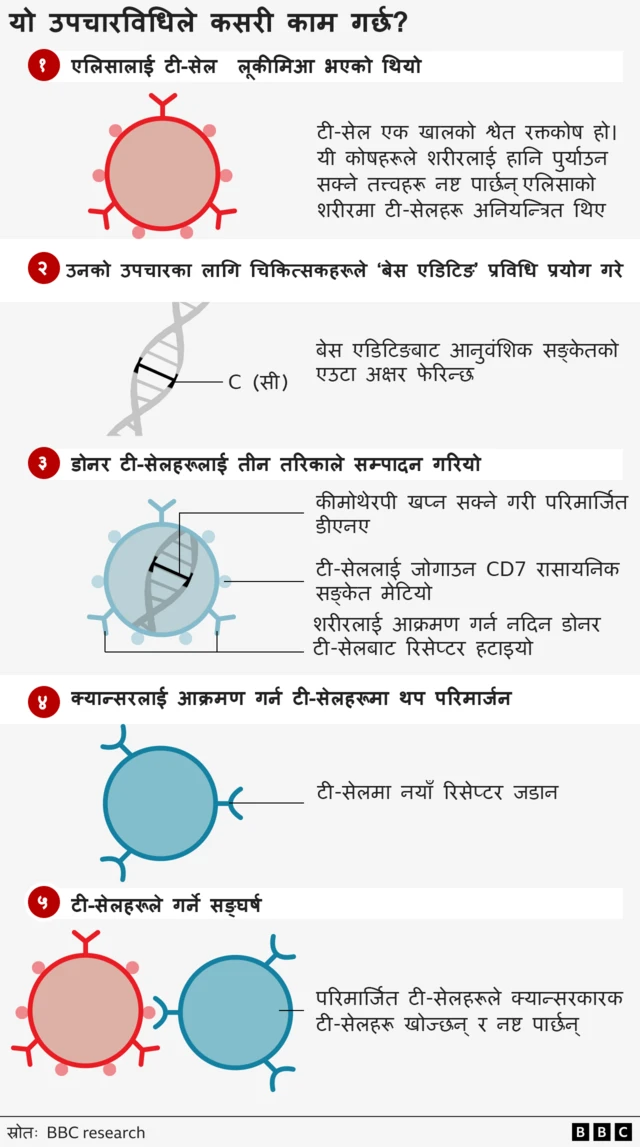 रगतको क्यान्सर भएका बिरामीमा जीन थेरपीले कसरी काम गर्छ
