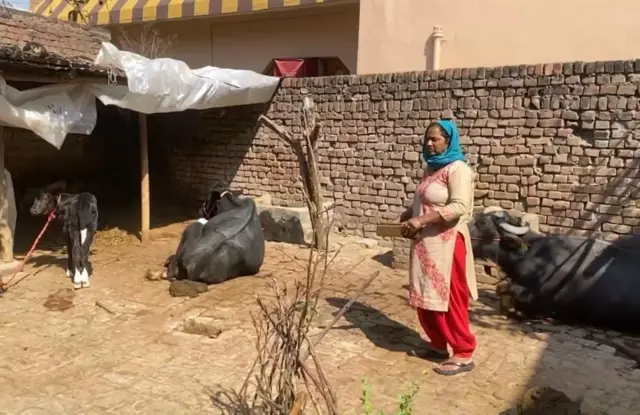 ਕੁਲਵੰਤ ਕੌਰ