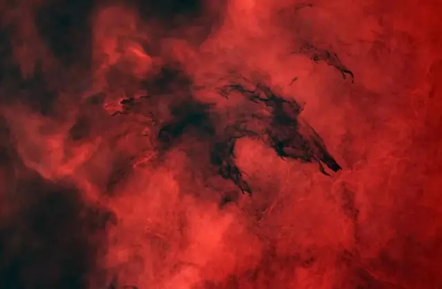 A molecular cloud in the form of a wolf
