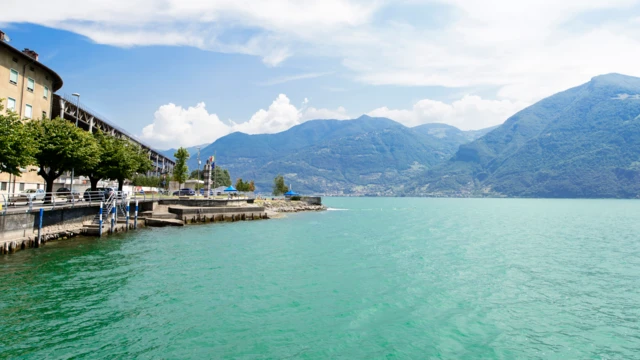 బాంబులు, స్విట్జర్లాండ్, సైన్యం