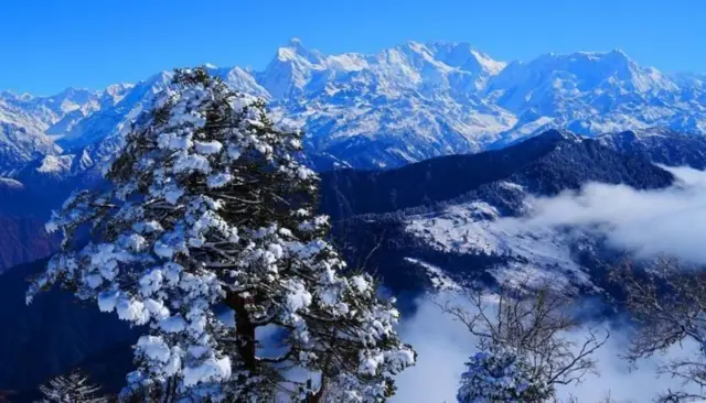 गत जाडो याममा हिउँ कम परेको बताइएको छ 