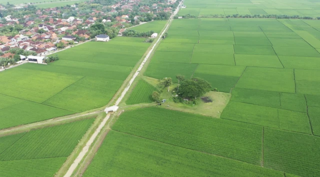 Sendang Beluk, gas rawa, sumber energi alternatif, elpiji 3 kg