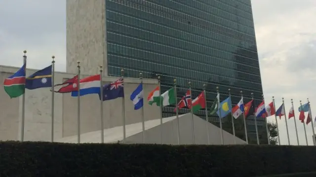 राष्ट्रसङ्घ महासभाका प्रस्ताव कानुनी रूपमा बाध्यकारी नहुने भए पनि त्यसले विश्वको धारणाको प्रतिनिधित्व गर्ने ठानिन्छ।