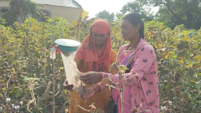 इतर महिलांना मार्गर्शन करताना सविता डकले.