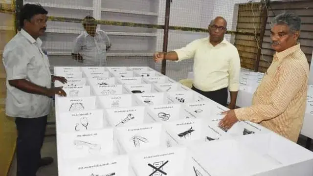 வாக்குகளை எண்ணும் பணி