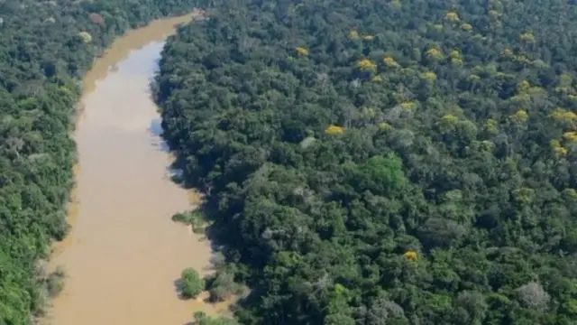 40 நாட்களுக்குப் பின் மீட்கப்பட்ட குழந்தைகள்