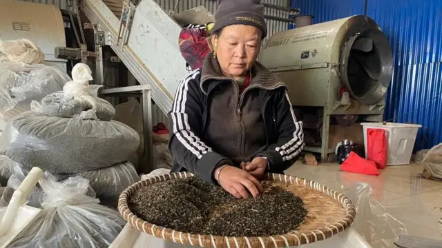 चिया किसान