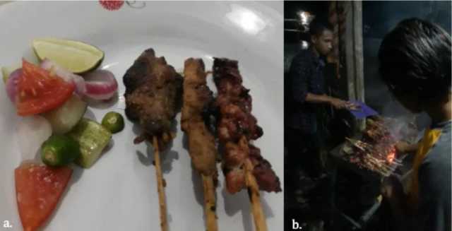 Journal of Tropical Ethnobiology