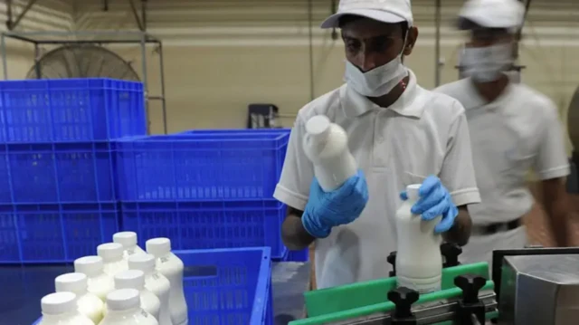 ਡੇਅਰੀ ਸੈਕਟਰ