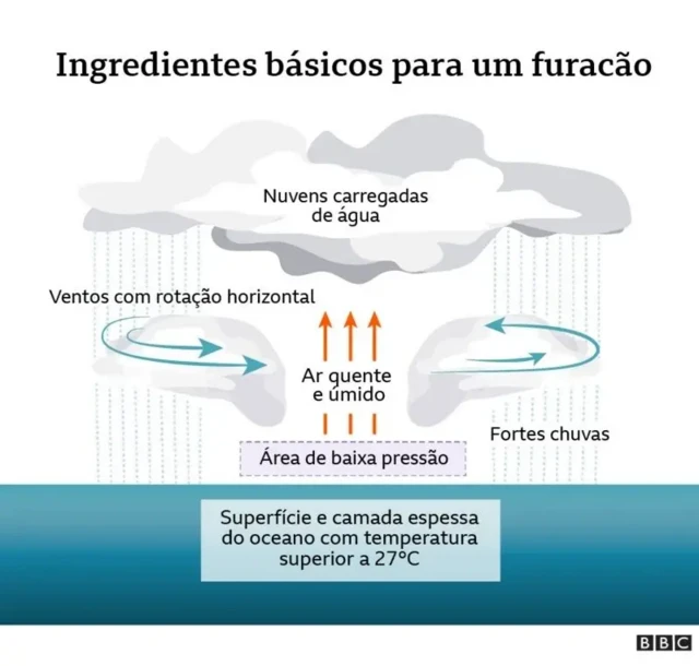 Gráfico mostra os elementos básicos para a formaçãobaixar betnacional appum furacão