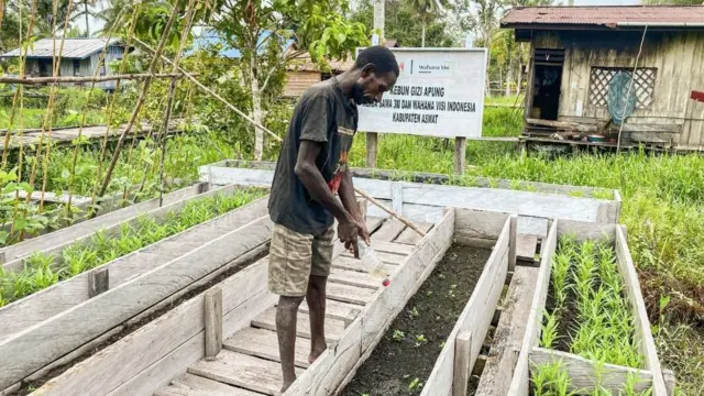 Gizi buruk, Asmat, Papua Selatan, Wahana Visi Indonesia, kebun gizi apung, WVI