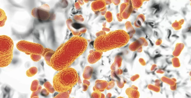 Acinetobacter baumannii ဆေးမျိုးစုံကို ခံနိုင်ရည်ရှိသော ရောဂါပိုး