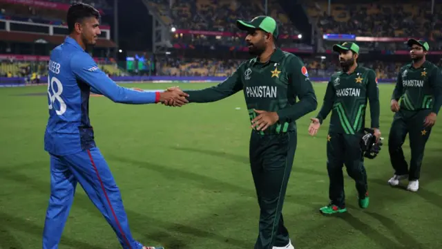 cricket