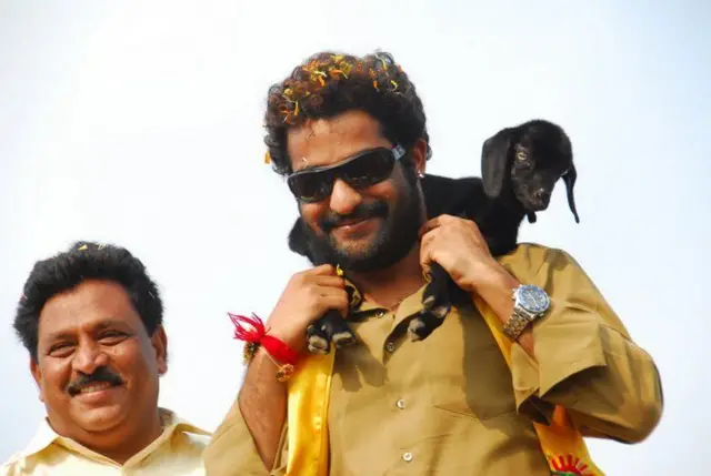 ఎన్టీఆర్, టీడీపీ