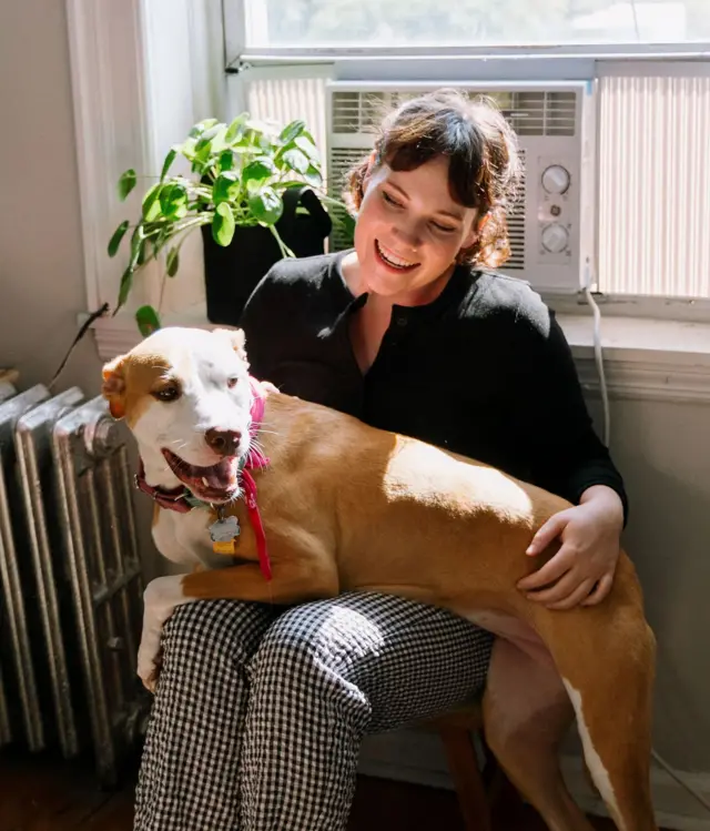 Велика собака сидить на колінах у своєї хазяйки