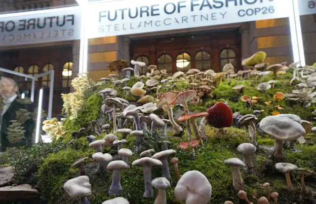 Cop26(26차 UN기후변화협약 당사국총회)에선 지속 가능한 패션을 위해 버섯과 균류의 중요성을 강조하는 강연과 전시회가 열렸다