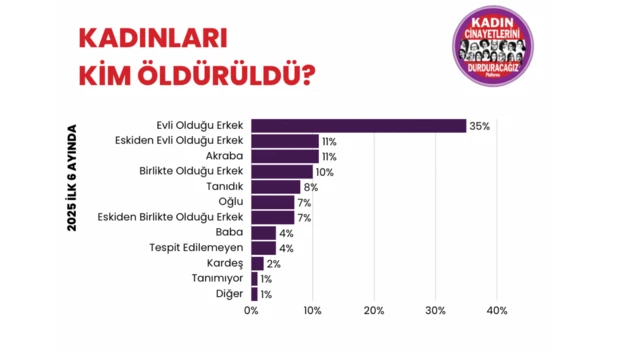 2025 yılındaki kadın cinayetlerine ait verileri gösteren bir grafik