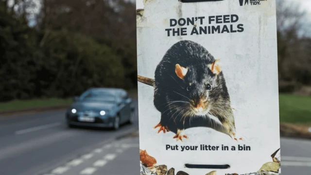 پوستری که تصویر موش روی آن است و زیر آن نوشته، زباله‌های خود را در سطل آشغال بگذارید