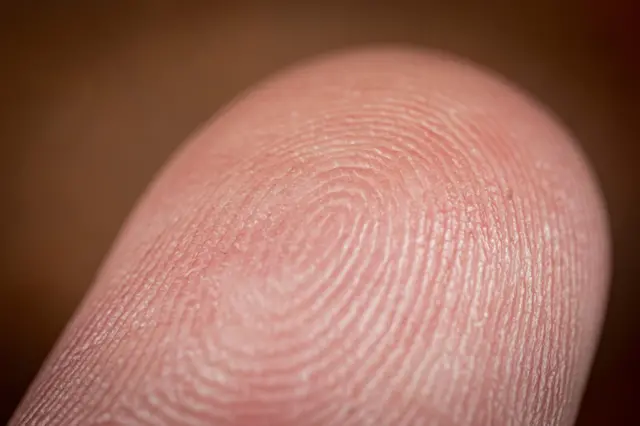 tip of finger