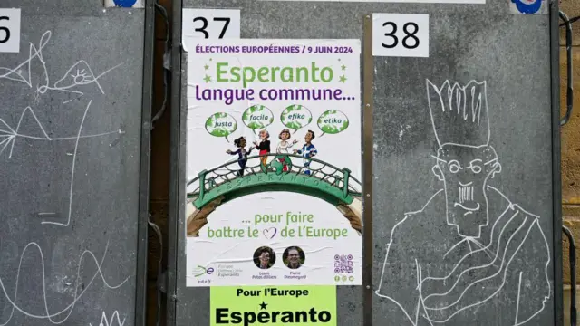 एस्पेरांटो में वैश्विक भाषा यानी ग्लोबल लैंग्वेज बनने की संभावना थी.