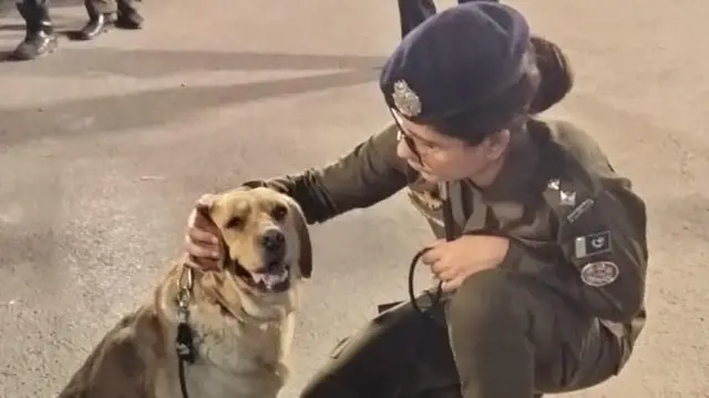 سیدہ شہربانو