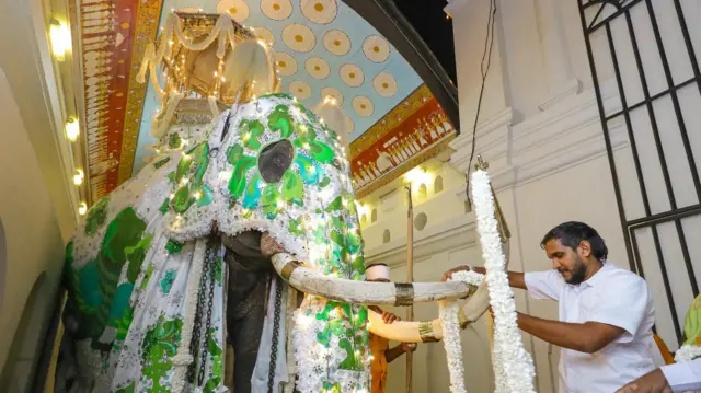 අලි ඇතුන් අනුරාධපුර යුගයේ සිටම දළඳා පෙරහැරට සහභාගී වී ඇති බව ජනශ්රැති පර්යේෂකයෙකු වන ජ්යෙෂ්ඨ කථිකාචාර්ය මහින්ද කුමාර දළුපොත පෙන්වා දෙයි.