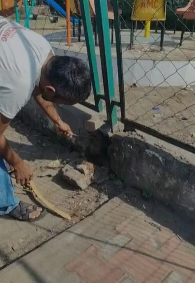 બીબીસી ગુજરાતી, ગુજરાતી, બીબીસી, અમદાવાદ, સાપ, ઝેર, 