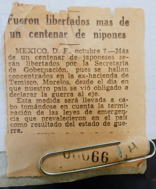 Artigoaposta multiplas betanoimprensa sobre a libertação dos japonesesaposta multiplas betanoTemixco