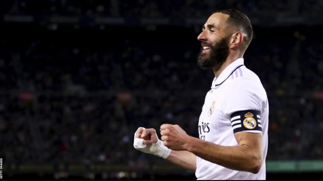 Pochta kartasi: Balki jinsiy aloqa qilarmiz? 20 yoshli mushuk