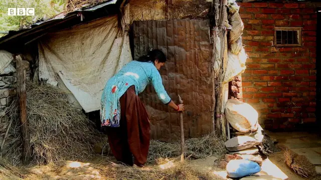 গোয়ালের দরজা আটকাচ্ছেন ঊষাদেবী নিয়াল